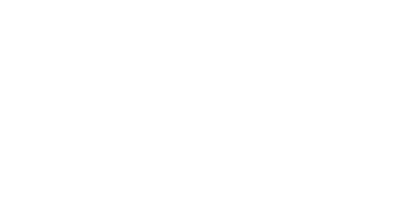 Qlik Footer Logo